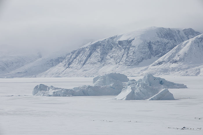 La banquise saisonnière héberge tout l'hiver les meutes. Les chiens au pied d'icebergs emprisonnés sont autant de minuscules points noirs.