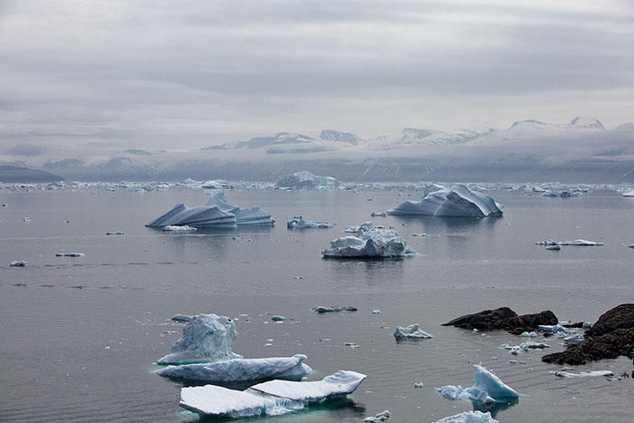 Ces icebergs sont de taille respectable : d'une dizaine de mètres de hauteur juqu'à plus de 40 pour le plus gros au lointain.