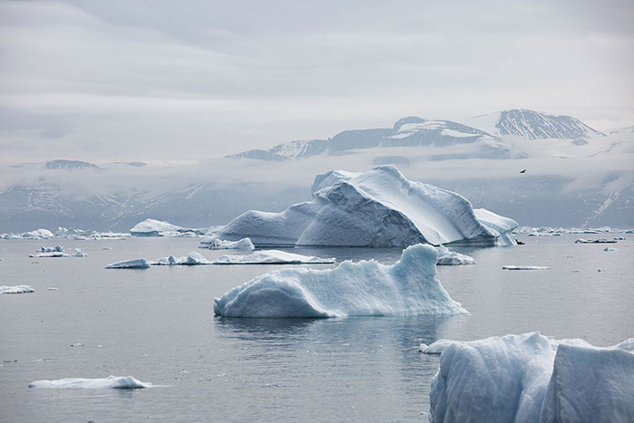 Cet iceberg ressemble à un croissant. Une forme inattendue qui ne respecte pas la classification  glaciologique habituelle.