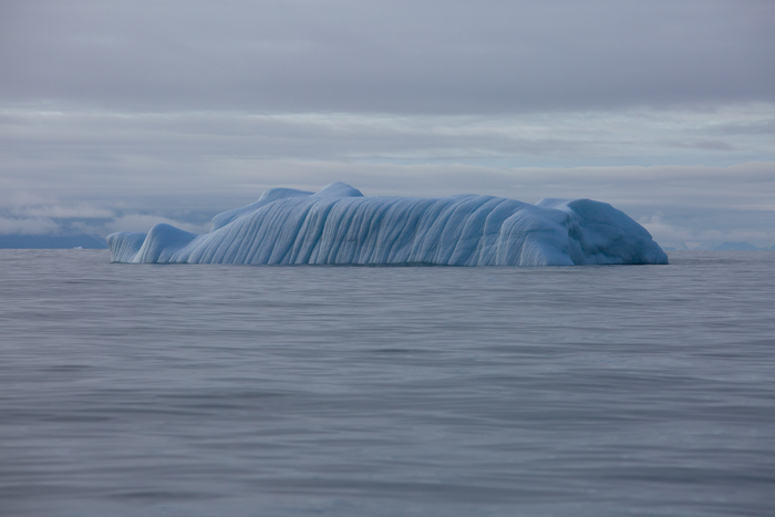 La couleur bleue des icebergs provient d'une glace exempte de bulles d'air susceptibles de réfléchir la lumière blanche. Celui ci   dérive nonchalamment vers Illorsuit