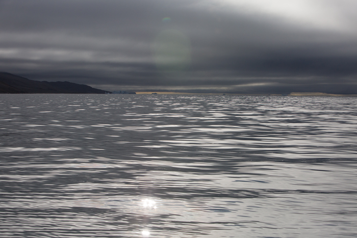   "Aujakasaq ", le presque été : le retour des baleines et des sternes dans le fjord 