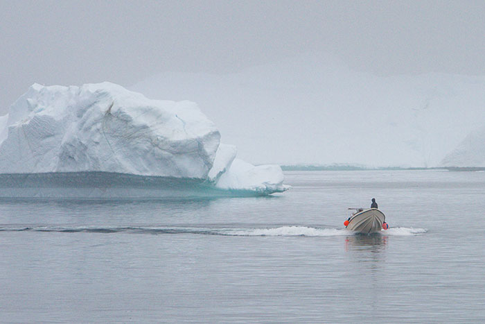 Les Groanlandais traversent des champs d'icebergs quand d'autres renonceraient. Pour  désigner précisemment la glace et la neige, ils utilisent plus d'une cinquantaine de mots.